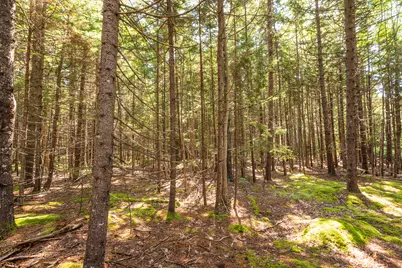 Lot 11 Nahanada Road, Bristol, ME 04539 - Photo 4