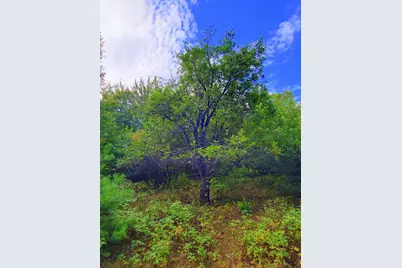 15 Jackson Hole, Carthage, ME 04224 - Photo 64