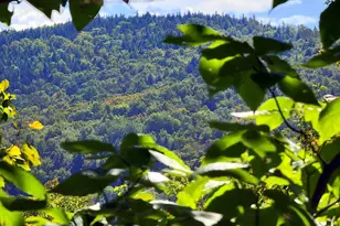 15 Jackson Hole, Carthage, ME 04224 - Photo 68