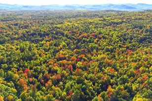 15 Jackson Hole, Carthage, ME 04224 - Photo 86