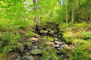 15 Jackson Hole, Carthage, ME 04224 - Photo 72