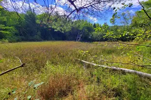 15 Jackson Hole, Carthage, ME 04224 - Photo 70