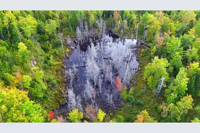 15 Jackson Hole, Carthage, ME 04224 - Photo 74