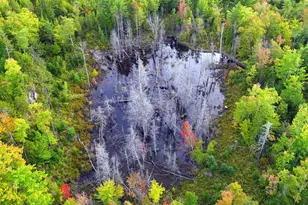 15 Jackson Hole, Carthage, ME 04224 - Photo 74