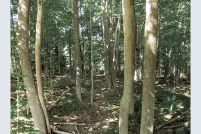 225 Waldo Avenue, Belfast, ME 04915 - Photo 4