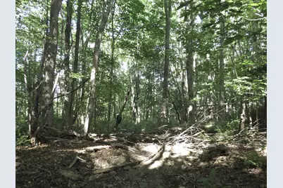 225 Waldo Avenue, Belfast, ME 04915 - Photo 8