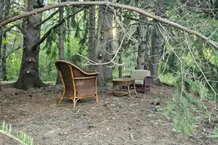 464 Gilman Falls Ave, Old Town, ME 04468 - Photo 22