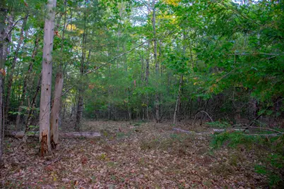 Tbd New Dam Road, Waterboro, ME 04061 - Photo 12