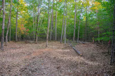 Tbd New Dam Road, Waterboro, ME 04061 - Photo 14