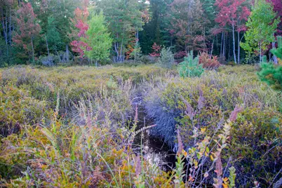 Tbd New Dam Road, Waterboro, ME 04061 - Photo 22