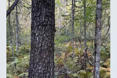 M6L43 Biscay Road, Bremen, ME 04551 - Photo 32