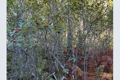 M6L43 Biscay Road, Bremen, ME 04551 - Photo 16