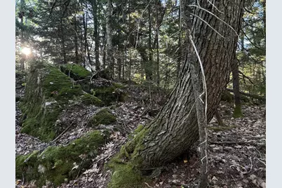 M6L43 Biscay Road, Bremen, ME 04551 - Photo 6