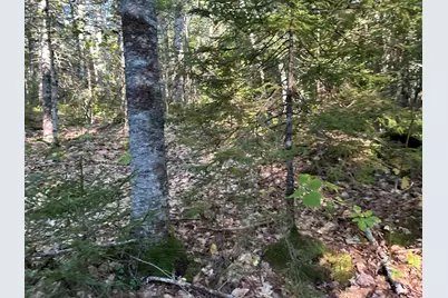 M6L43 Biscay Road, Bremen, ME 04551 - Photo 26