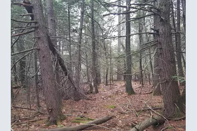 53 Johnson Road, Windham, ME 04062 - Photo 6