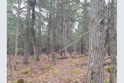 53 Johnson Road, Windham, ME 04062 - Photo 18