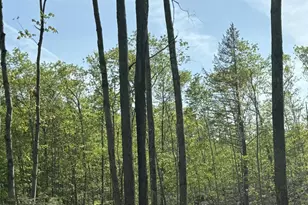 Lot 55-A Ford Quint Rd, North Berwick, ME 03906 - Photo 1