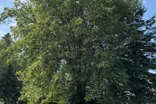 137 Fox St, Madawaska, ME 04756 - Photo 88