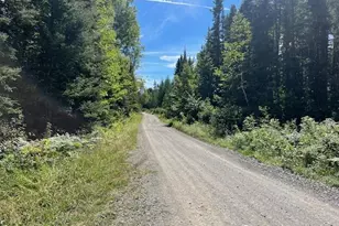 0 (Off) Flat Mountain Rd, Saint Agatha, ME 04772 - Photo 1