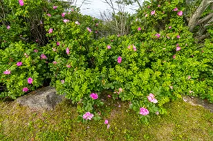 86 Mill Pond Rd, Beals, ME 04611 - Photo 60
