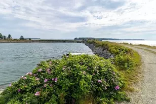 86 Mill Pond Rd, Beals, ME 04611 - Photo 94