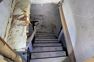 7 Forest Ave, Orono, ME 04473 - Photo 110