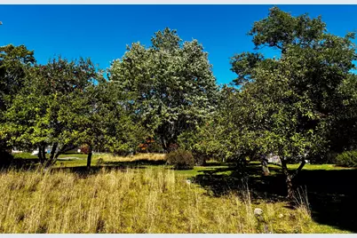 113 Wardwell Point Road, Penobscot, ME 04476 - Photo 46