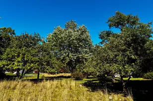 113 Wardwell Point Rd, Penobscot, ME 04476 - Photo 46