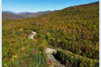 28 Adrian's Way, Springfield, ME 04947 - Photo 1