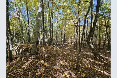 Tbd Temple Road, Farmington, ME 04938 - Photo 16
