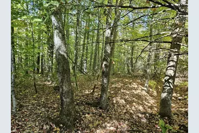 Tbd Temple Road, Farmington, ME 04938 - Photo 14