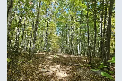 Tbd Temple Road, Farmington, ME 04938 - Photo 6
