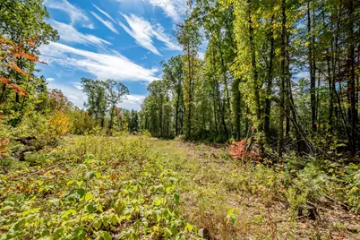 165 Red School House Road, Newburgh, ME 04444 - Photo 40