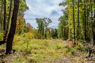 165 Red School House Rd, Newburgh, ME 04444 - Photo 60