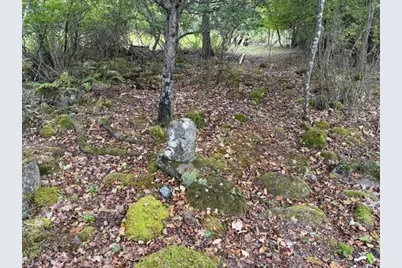 352 Bayview Road, Penobscot, ME 04476 - Photo 50