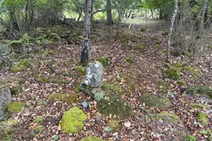 352 Bayview Rd, Penobscot, ME 04476 - Photo 50