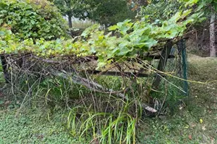 352 Bayview Rd, Penobscot, ME 04476 - Photo 48