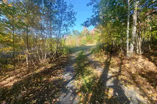 85 Griffin Mountain Rd, New Vineyard, ME 04956 - Photo 44