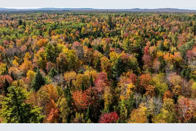 Tbd 22Acre US Rt One, Waite, ME 04492 - Photo 4