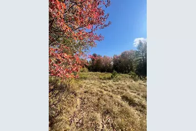 Tbd 22Acre US Rt One, Waite, ME 04492 - Photo 12