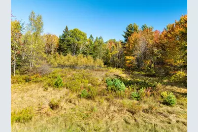 Tbd 22Acre US Rt One, Waite, ME 04492 - Photo 6