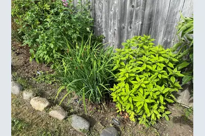 23 Washington Street, Lubec, ME 04652 - Photo 44