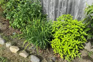 23 Washington St, Lubec, ME 04652 - Photo 44