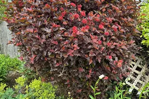 23 Washington St, Lubec, ME 04652 - Photo 42