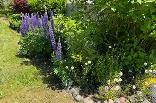 23 Washington St, Lubec, ME 04652 - Photo 32