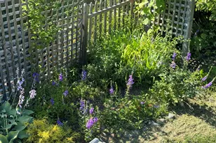 23 Washington St, Lubec, ME 04652 - Photo 40