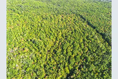 Lot 35 Town House Road, Vienna, ME 04360 - Photo 8