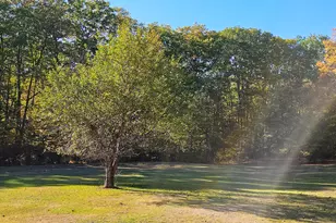 23 Cummings Hill Rd, Temple, ME 04984 - Photo 90