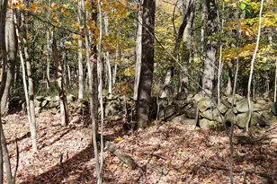 23 Cummings Hill Rd, Temple, ME 04984 - Photo 84