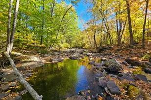 23 Cummings Hill Rd, Temple, ME 04984 - Photo 66